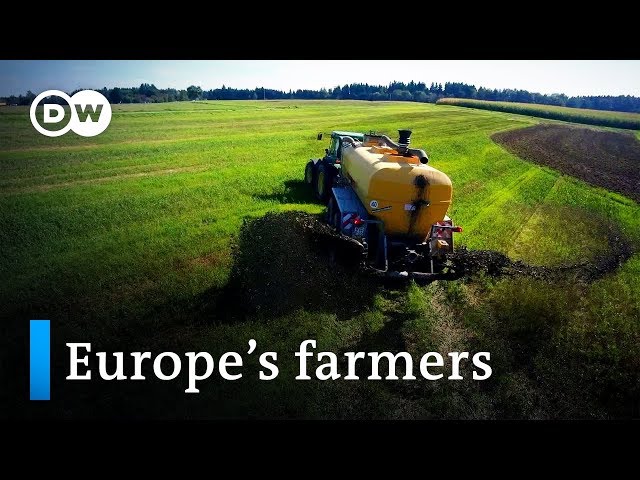 Can farmers grow money? | DW Documentary