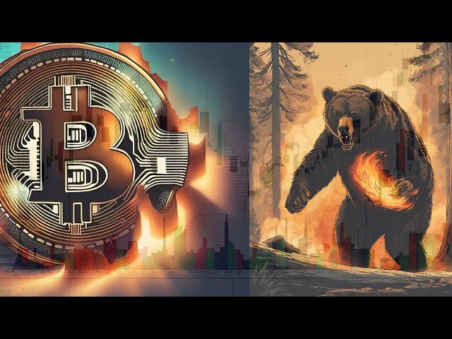 Bitcoin: Escape the Market Crash Now | Is Bitcoin is over or when stop this market collops