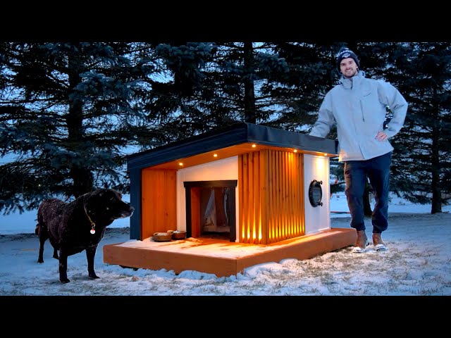 Building a HEATED DOG HOUSE for Canadian Winters