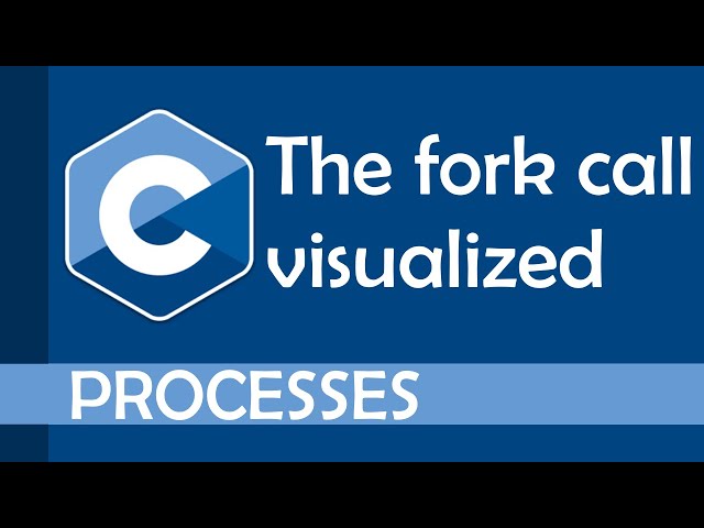 Visualization of a fork call in C