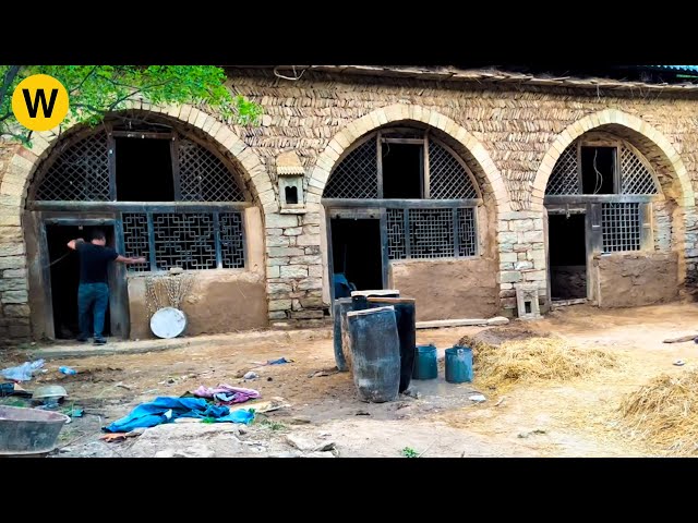 The guy renovates abandoned cave house ||  Turning dry land into a farm