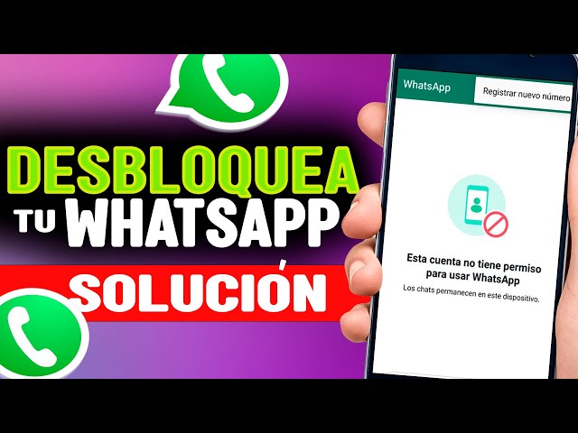 How to recover my suspended WhatsApp account | WhatsApp suspended solution | 2024-2025-2026