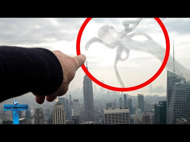 Top 10 Mysterious Giant Creature Accidentally Caught On Camera