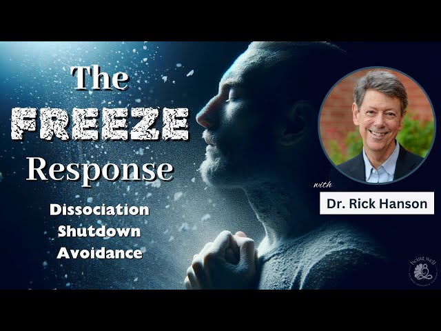 Managing the Freeze Response: Dissociation, Emotional Shutdown, and Creating Safety | Being Well