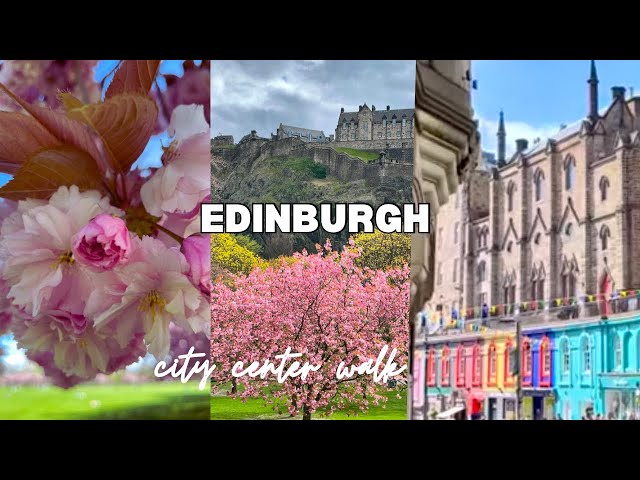 Cherry blossoms trees - the best place to see 🌸 Iconic places in Edinburgh!