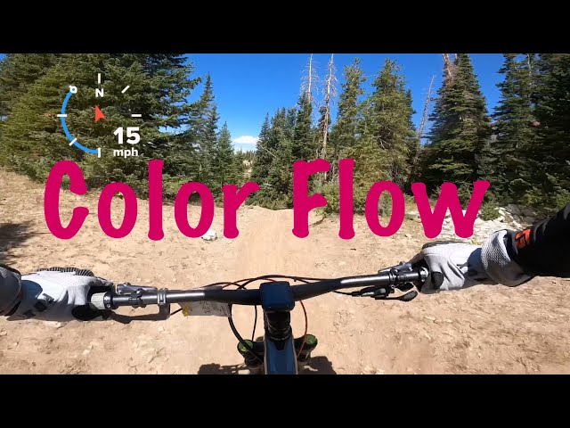 Brian Head Utah Bike Park - Color Flow Trail High Speed Run - Trek Fuel EX - GOPRO Hero 8 Black
