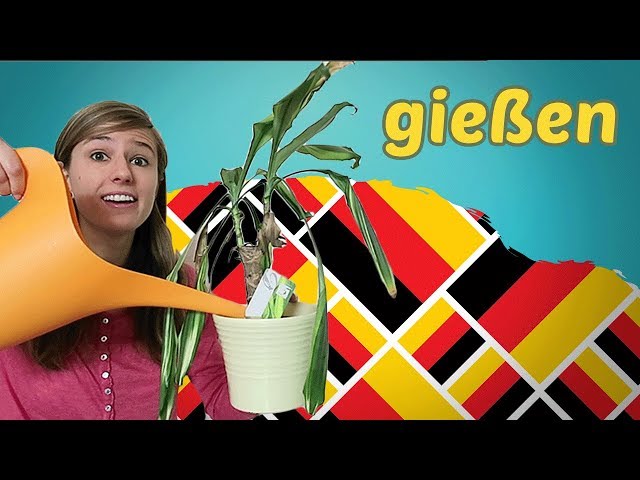 Learn 5 new GERMAN Words per DAY - IN THE LIVING-ROOM