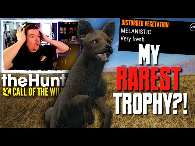 I CAN'T BELIEVE IT! I Found a MELANISTIC Side Striped Jackal?! | Call of the Wild