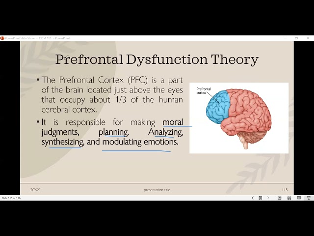 PREFRONTAL DYSFUNCTION THEORY