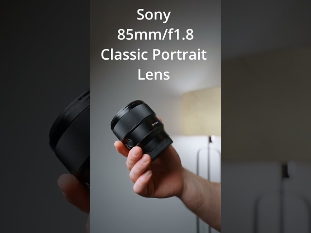 My 3 Lenses for the Sony A7IV