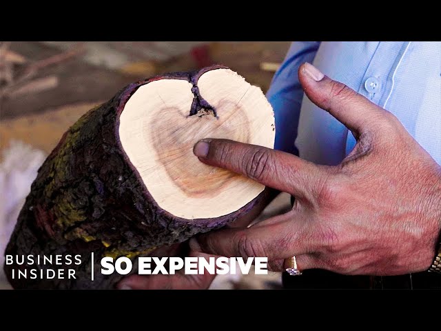 Why Sandalwood Is So Expensive | So Expensive