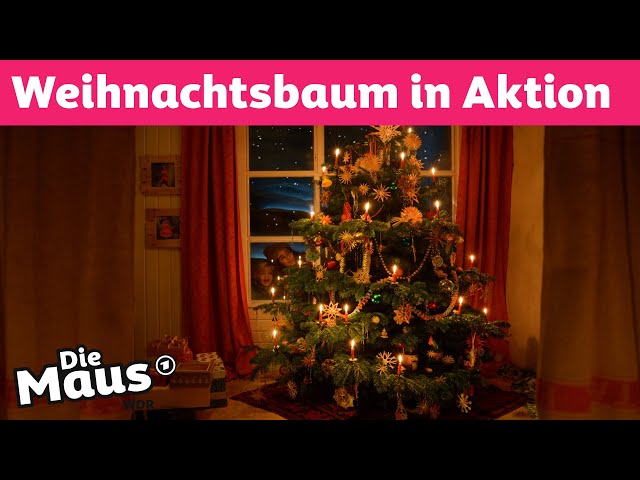 Was macht denn der Weihnachtsbaum da? | DieMaus | WDR