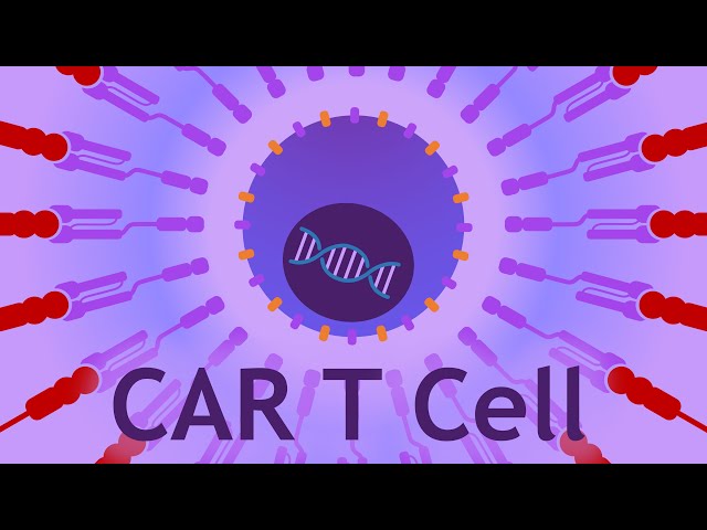 CAR T Cells: Beating Cancer with the Immune System