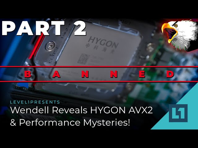 Wendell Reveals HYGON AVX2 & Performance Mysteries! (Poking At Chinese Servers Pt. 2)