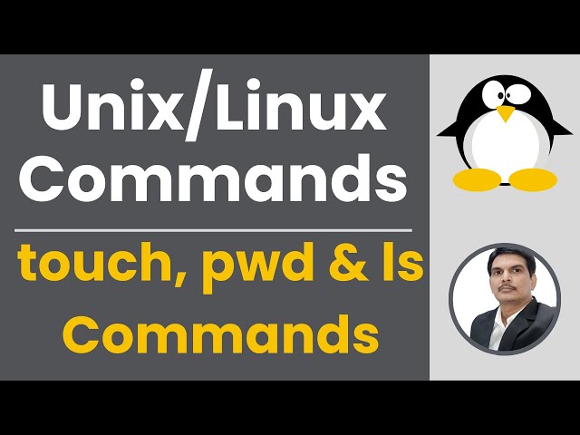 Part 3 - Unix/Linux for Testers | touch, pwd & ls Commands