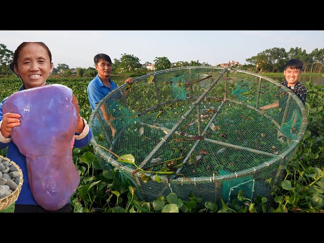 Hưng Vlog - Đem Bẫy Cá Khổng Lồ 3m Ra Đầm Bèo Bẫy Cá Và Cái Kết