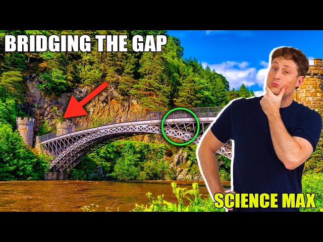 BRIDGES, TRANSPORTATION + More Travel-Related Experiments At Home | Science Max | Full Episodes
