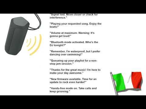 The International Bluetooth Speaker