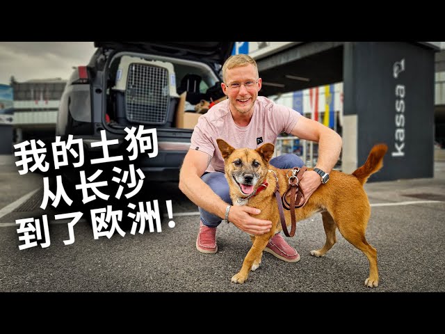 I could not hold my tears - REUNITED with MY DOG! [ENG中文 SUB]