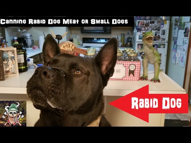 Canning Rabid Dog Meat or Small Dogs