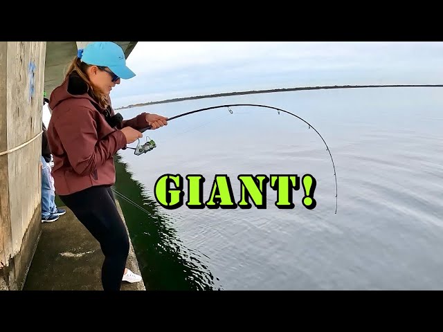 GIRL goes SHEEPSHEAD fishing when THIS HAPPENS!
