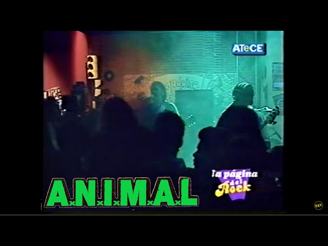 A.N.I.M.A.L. , La Pagina del Rock 1996 (show+nota) ANIMAL