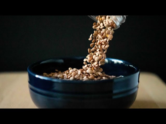 HOW TO COOK LENTILS