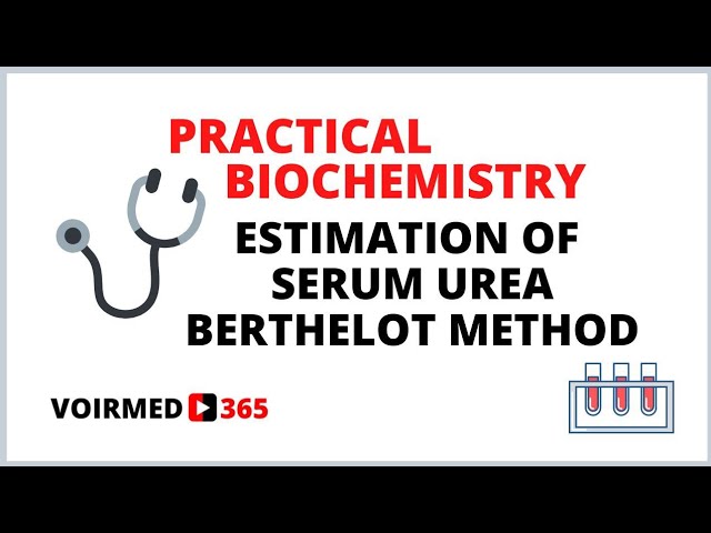 11 ESTIMATION OF SERUM UREA - BERTHELOT METHOD | BIOCHEMISTRY PRACTICAL