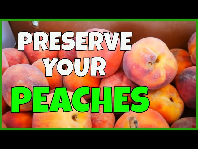 How to Preserve Peaches (3 Ways)