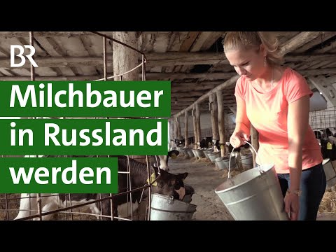 Täglich 500 Kühe melken: Ein Riesenstall in Russland | Unser Land | BR Fernsehen