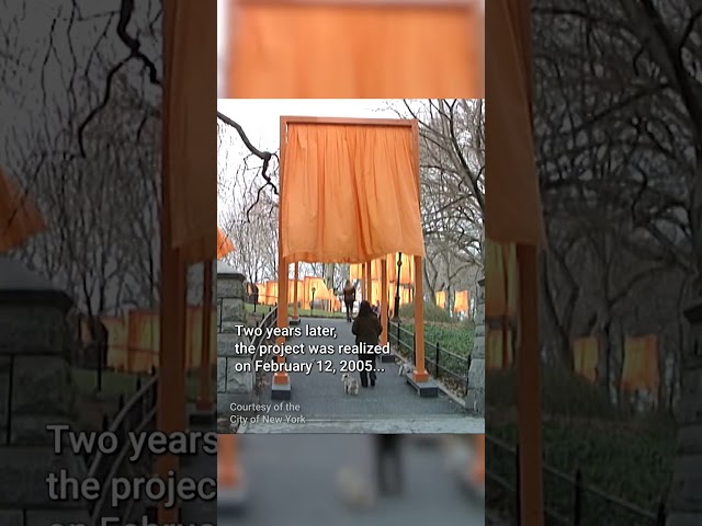 Over 7,500 Saffron Colored Gates Line Central Park | Mike Bloomberg #shorts
