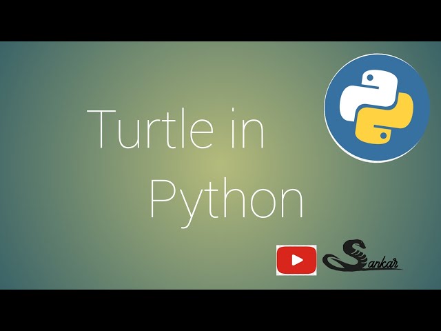 Turtle in python