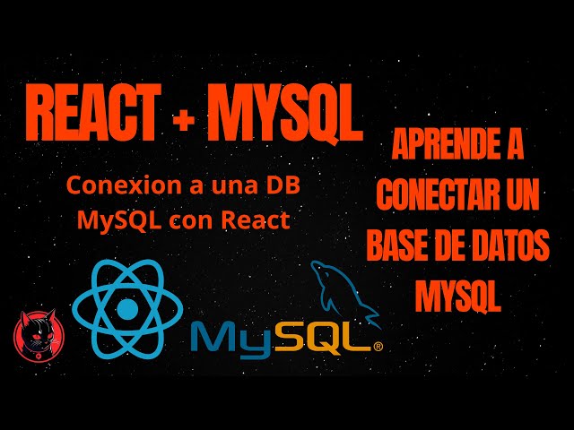 Conectar base de datos MySQL con React