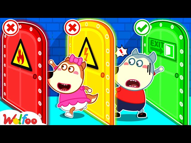 🔴 LIVE: Don't Choose the Wrong Door, Lucy! - Wolfoo Learns Safety Tips for Kids | Wolfoo Family