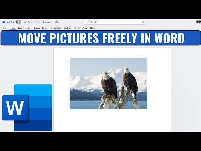 How to Move Pictures Freely in Word