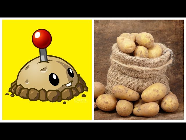 PLANTS IN REAL LIFE | PLANTS VS ZOMBIES | CHARACTERS FROM THE GAME 2009)