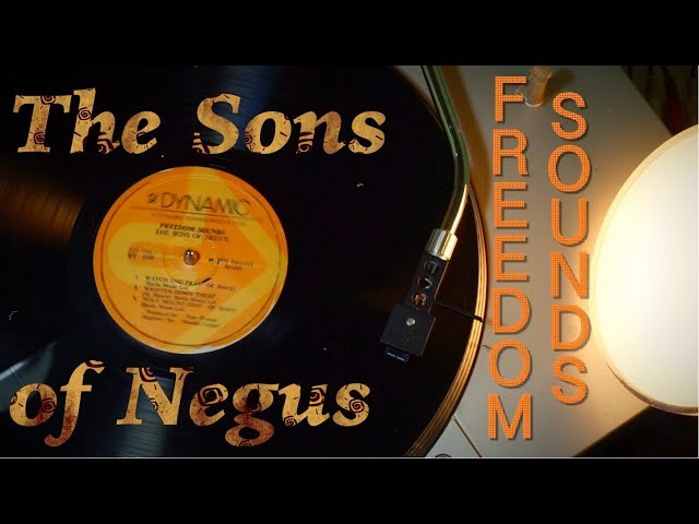 Ras Michael and the Sons of Negus - Freedom Sounds | 12“ Dynamic 1974