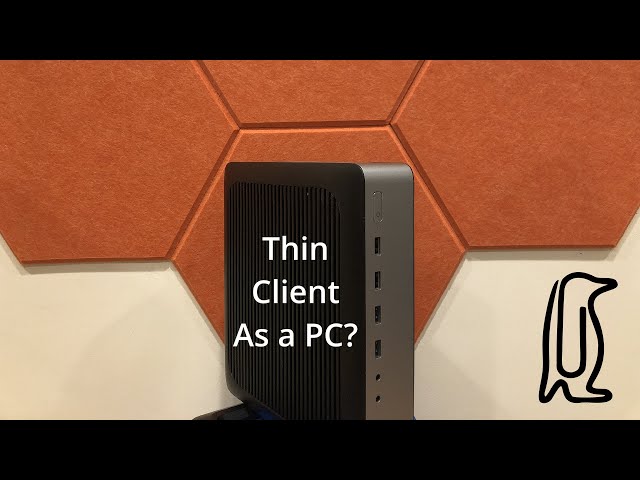 Can you use a THIN CLIENT as a standalone PC?