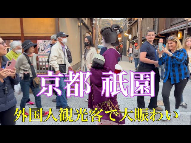 2023年4月10日 【外国人観光客で大賑わいの京都】舞妓さんも苛立つ！大型観光バスが花見小路を通る 【4K】Walk in Gion,Kyoto