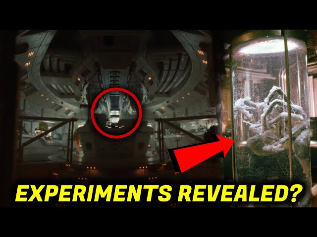Weyland-Yutani Xenomorph Experiments In Romulus Lab Revealed In Alien: Romulus Teaser Trailer