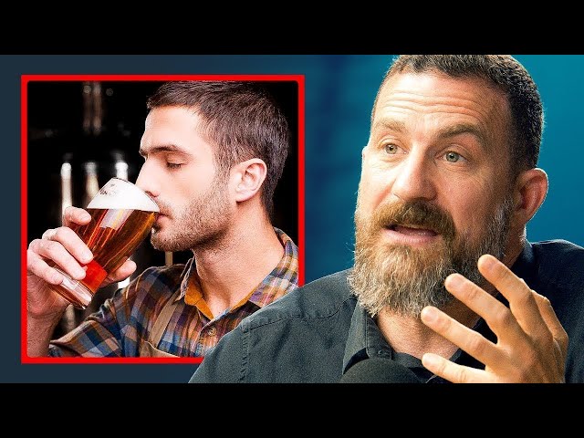 The Hidden Effects Of Alcohol On Your Brain And Body - Andrew Huberman