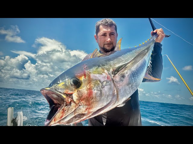 Massive Tunas Going CRAZY! {Catch Clean Cook} a Hurricane Made us Stop Fishing!