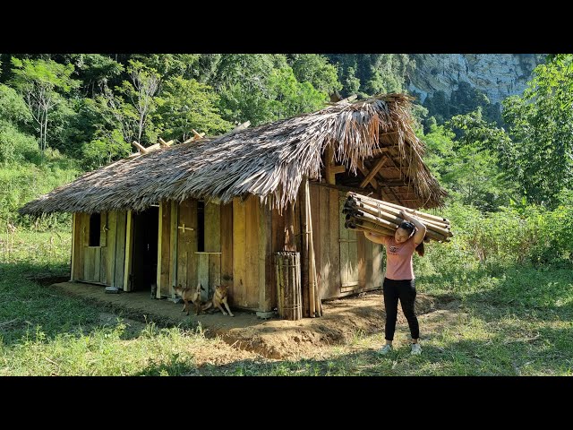 How to build house - girl build life in forest - Ep.80 | Lý Thị Ca