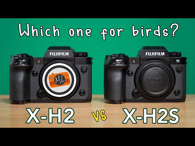 Fujifilm X-H2 vs X-H2S - Which one for Bird Photography?