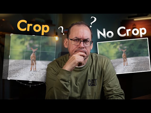 What the PROS know about CROPPING (that I wish I knew sooner!)