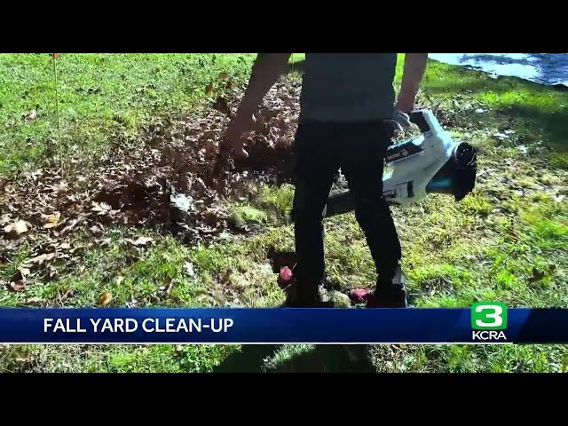 Consumer Reports: What to know about fall yard cleanup options