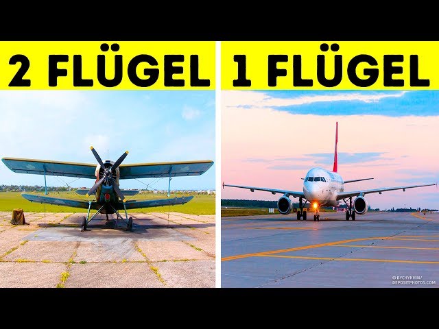 All Flugzeuge haben tatsächlich nur einen Flügel