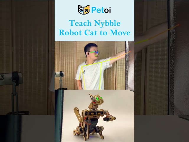 Robot Cat Nybble Can Follow My Motion Now | PetoiCamp