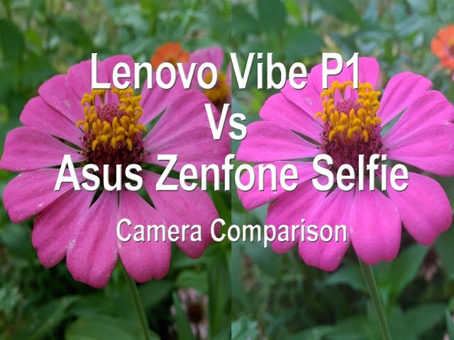 Lenovo Vibe P1 vs Asus Zenfone Selfie Camera Comparison | Techconfigurations