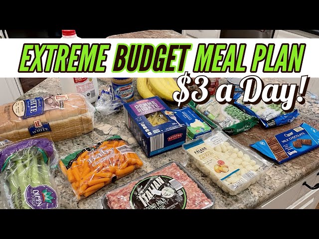 BEST EXTREME BUDGET MEAL PLAN $20 for a WEEK!  // EASY MEALS on a BUDGET